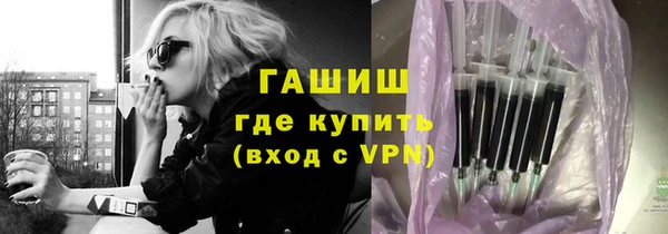 индика Осинники