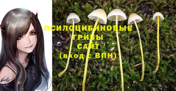 метамфетамин Армянск