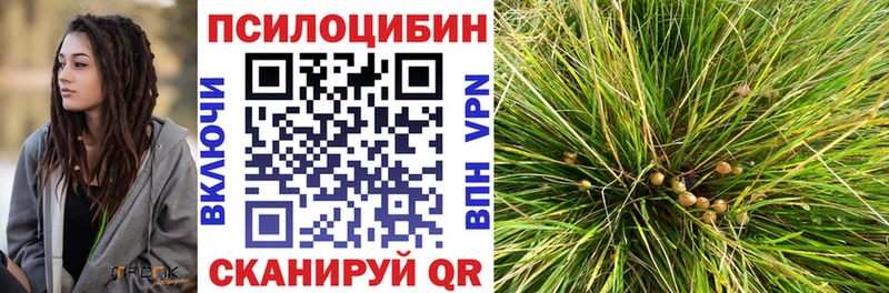 магазин продажи   Кинель  Галлюциногенные грибы GOLDEN TEACHER 