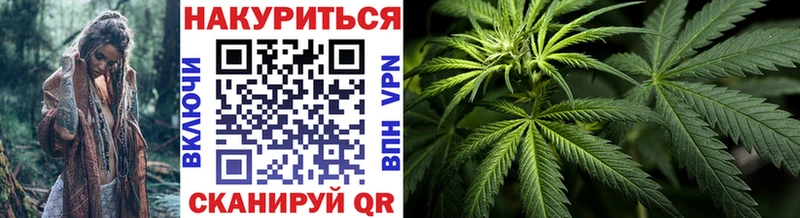 Конопля индика  сколько стоит  Кинель 
